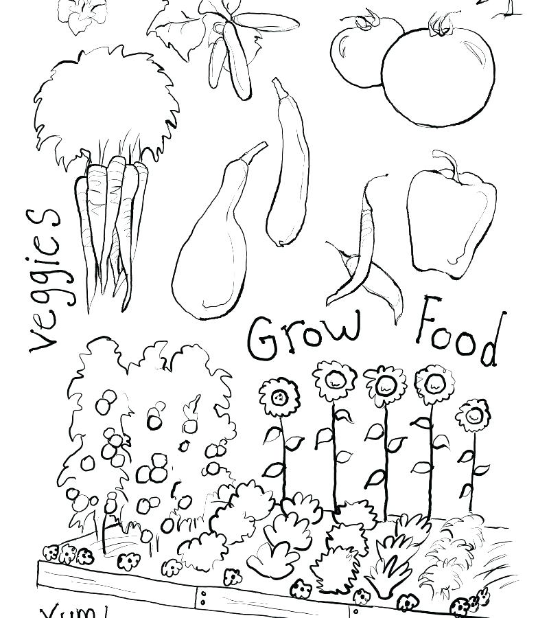 Vegetable Garden Coloring Pages At GetColorings Free Printable 