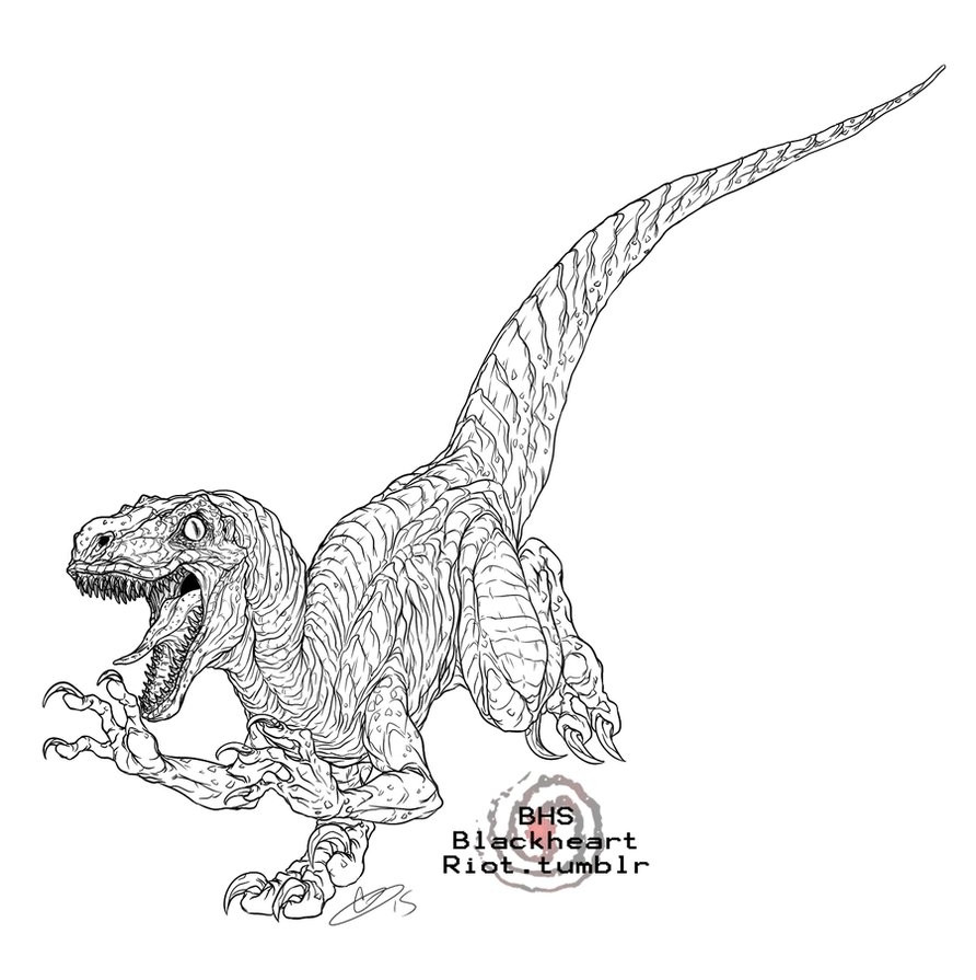 Velociraptor Coloring Pages at GetColorings.com | Free printable