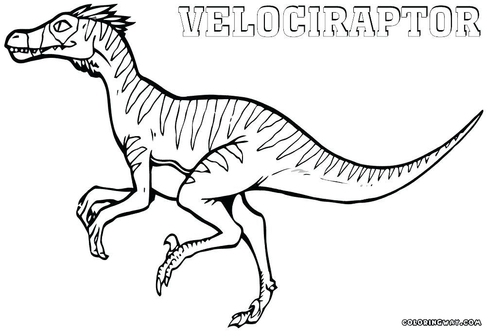Velociraptor Printable Coloring Pages At GetColorings Free 
