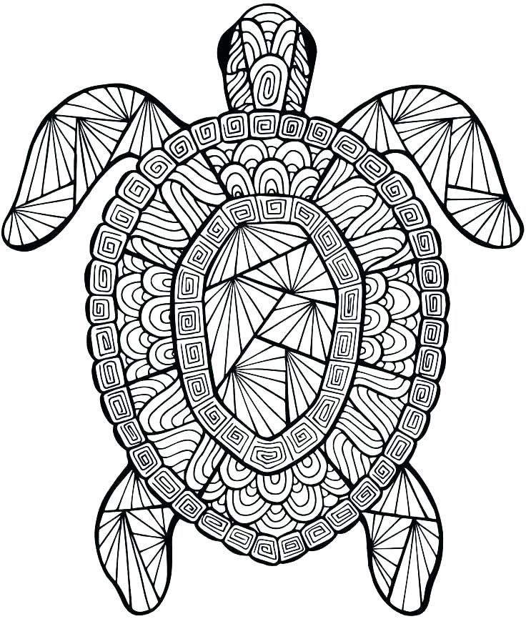 Very Detailed Coloring Pages at GetColorings.com | Free printable