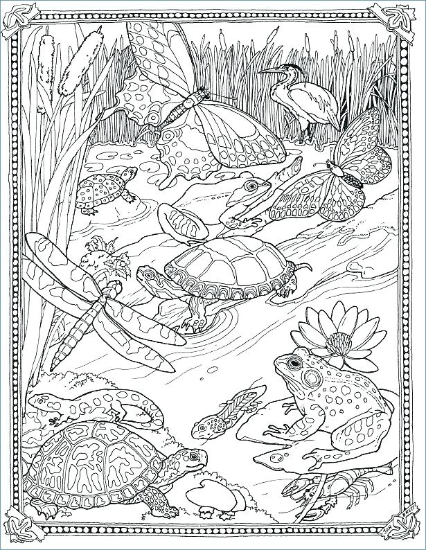 Very Detailed Coloring Pages For Adults at GetColorings.com | Free