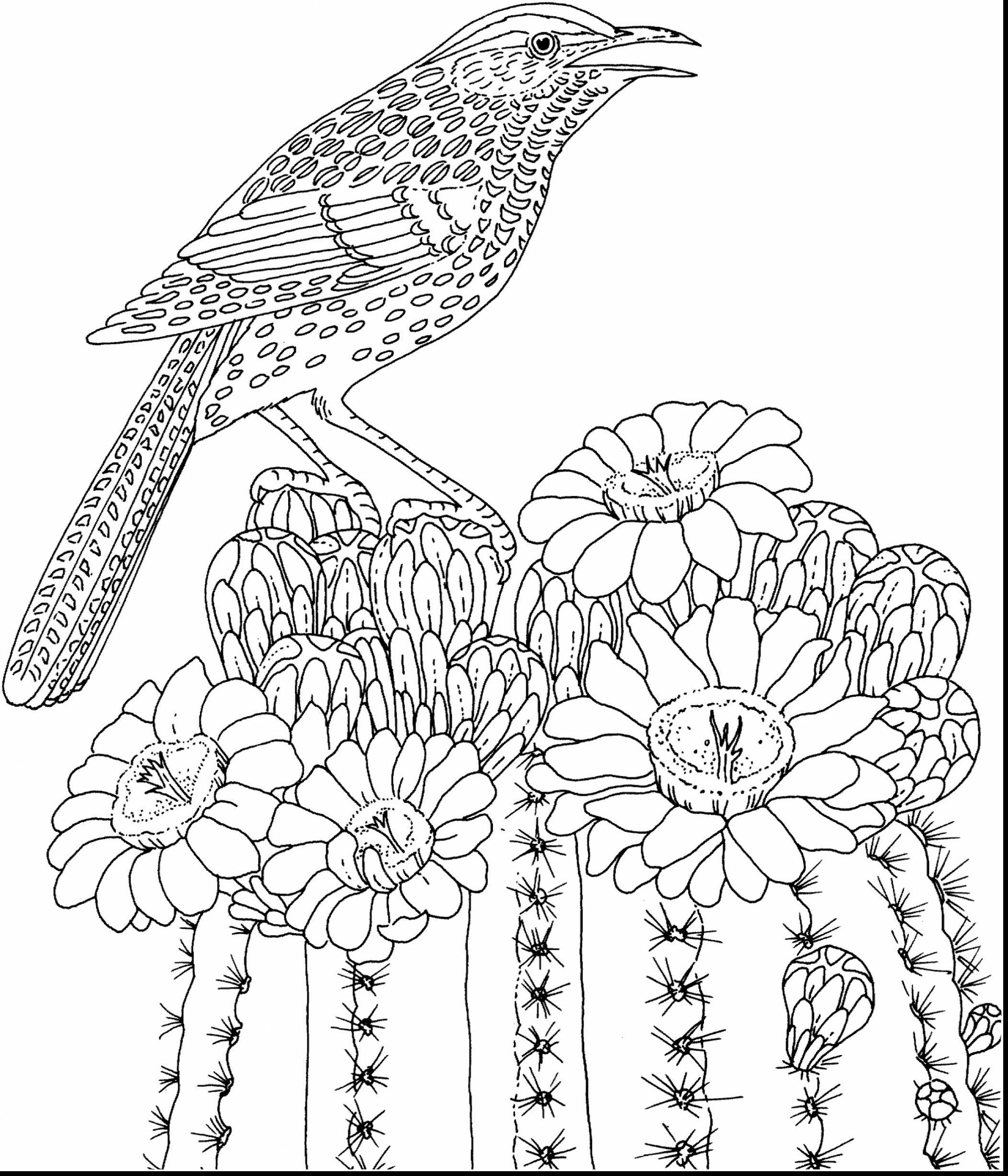 Very Hard Coloring Pages at GetColorings.com | Free printable colorings
