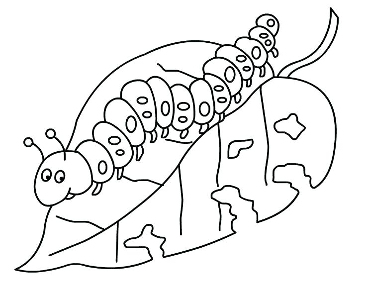 caterpillar and butterfly coloring pages