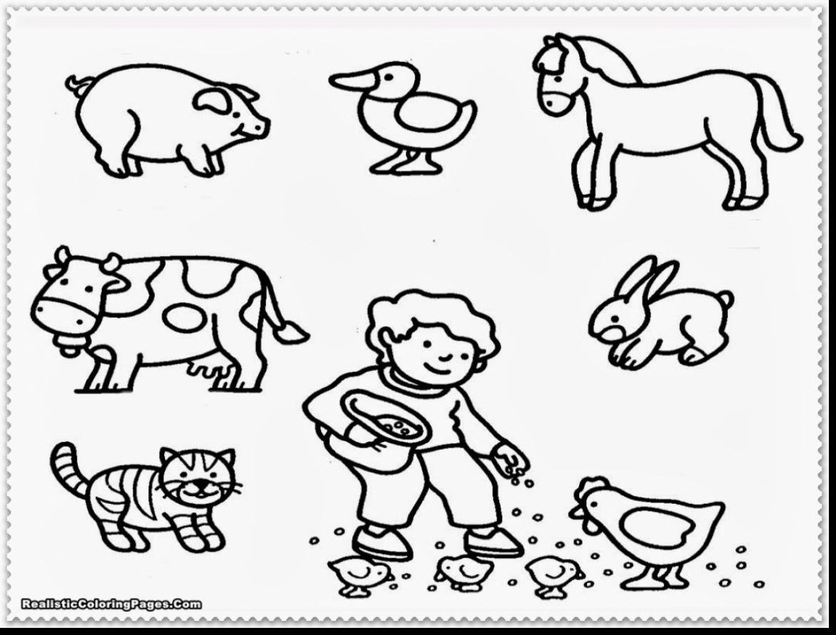 Раскраски домашних животных для детей 3-4 лет