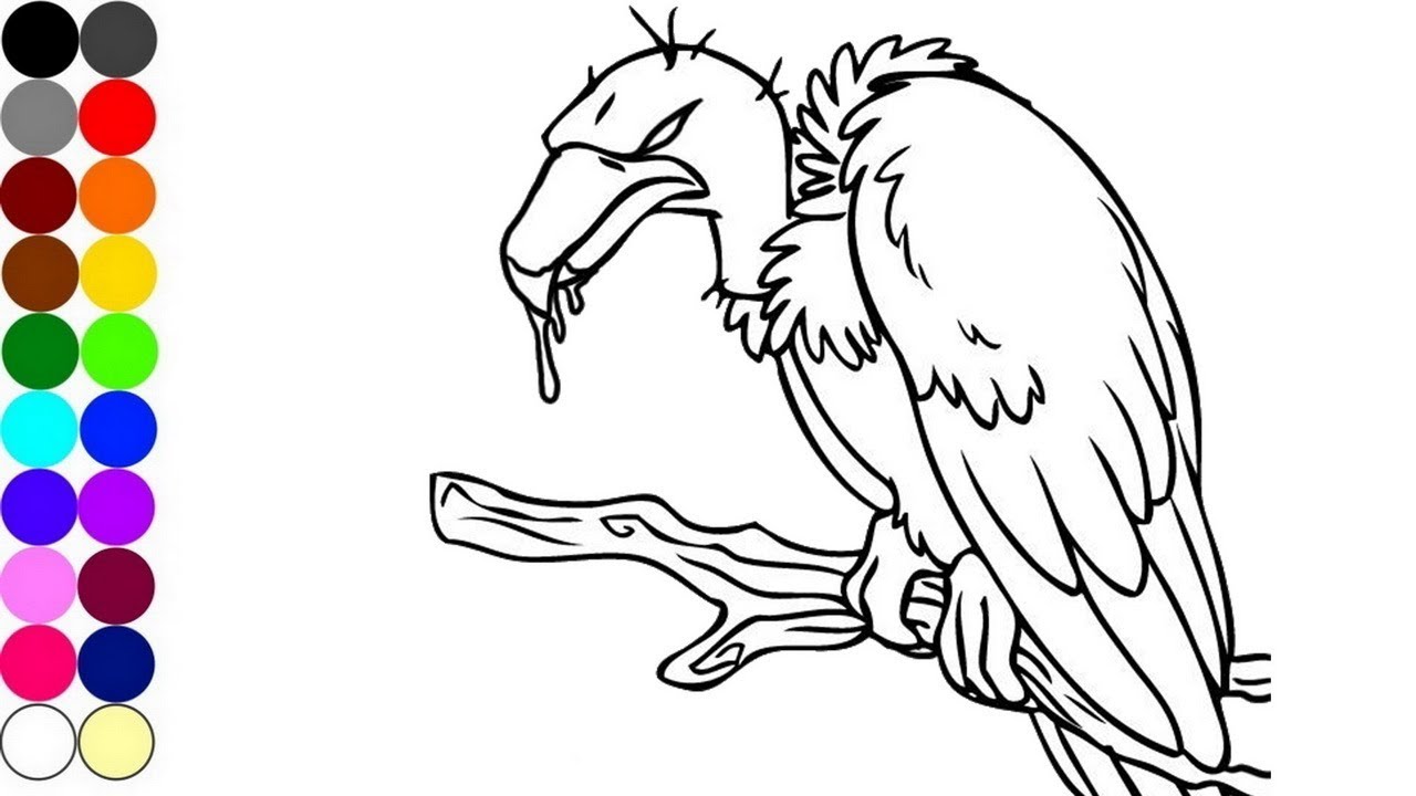 Vulture Coloring Page at GetColorings.com | Free printable colorings