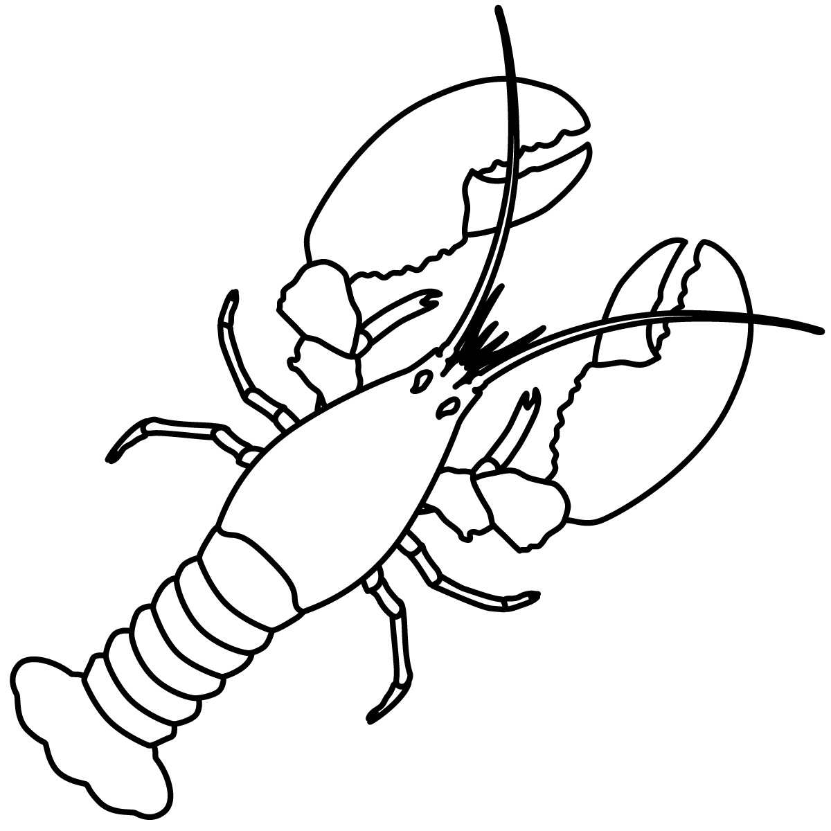 Lobster activity