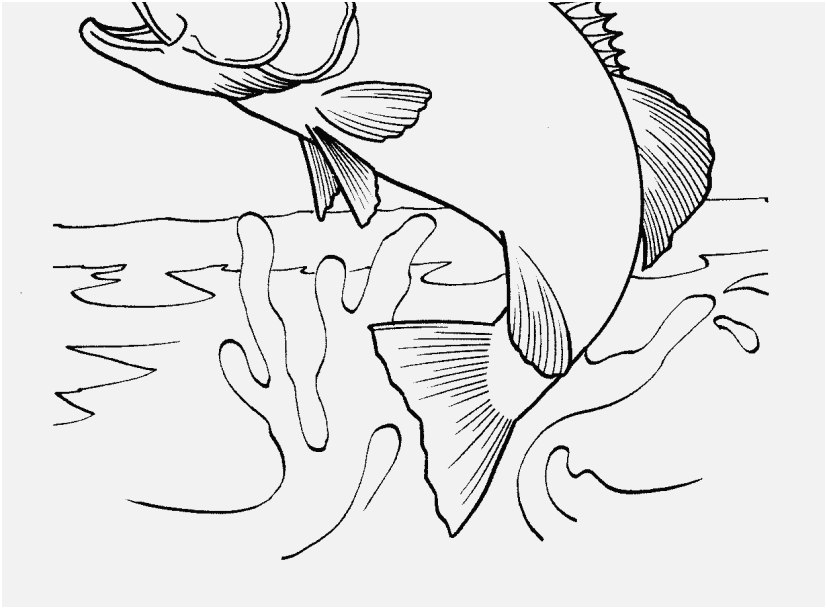 Walleye Fish Coloring Pages