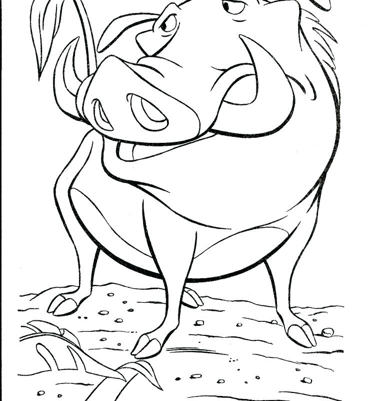 Warthog Coloring Page at GetColorings.com | Free printable colorings
