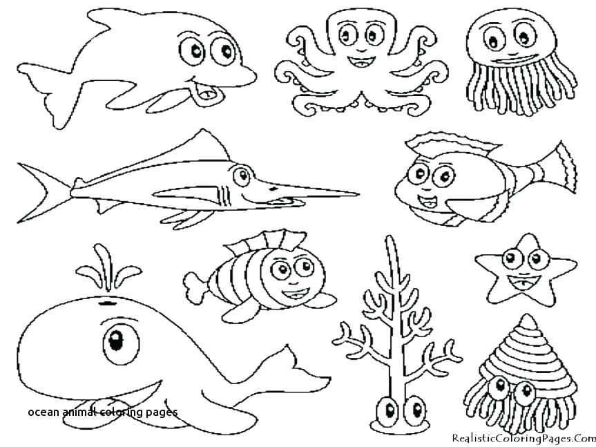 Water Animals Coloring Pages at GetColorings.com | Free printable