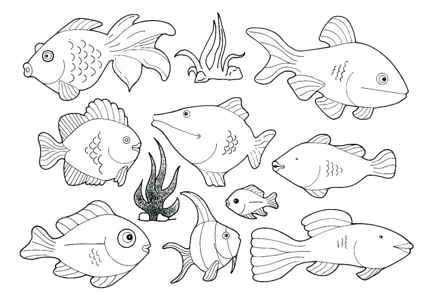 Water Animals Coloring Pages at GetColorings.com | Free printable