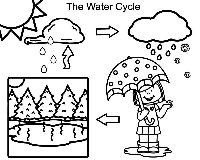 Water Cycle Coloring Page at GetColoringscom Free