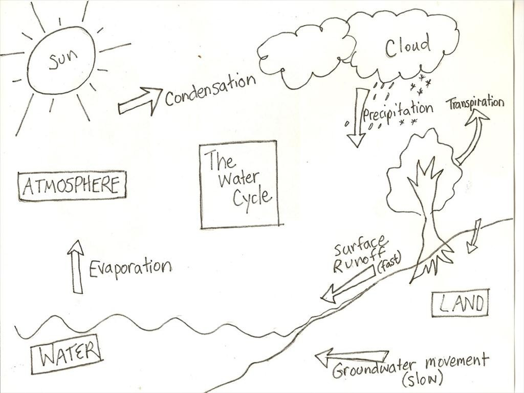 Water Cycle Coloring Page at GetColorings.com | Free printable