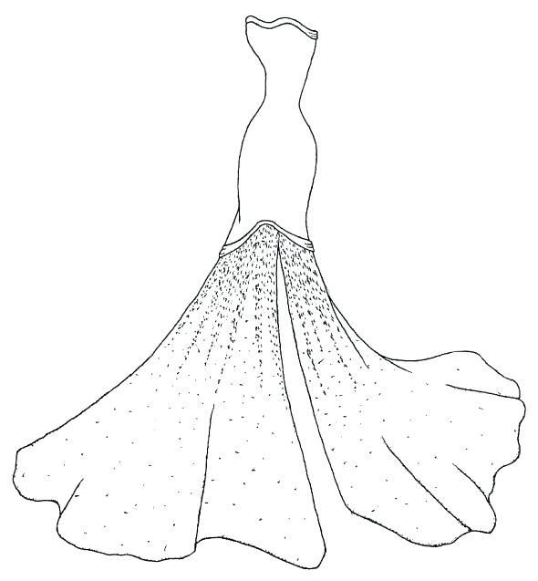 Wedding Dress Coloring Pages at Free printable