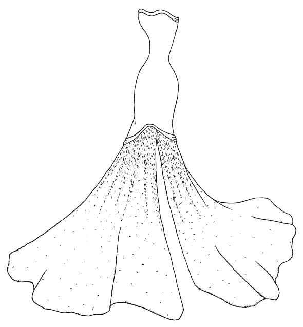 Wedding Dress Coloring Pages Printable Printable Word Searches