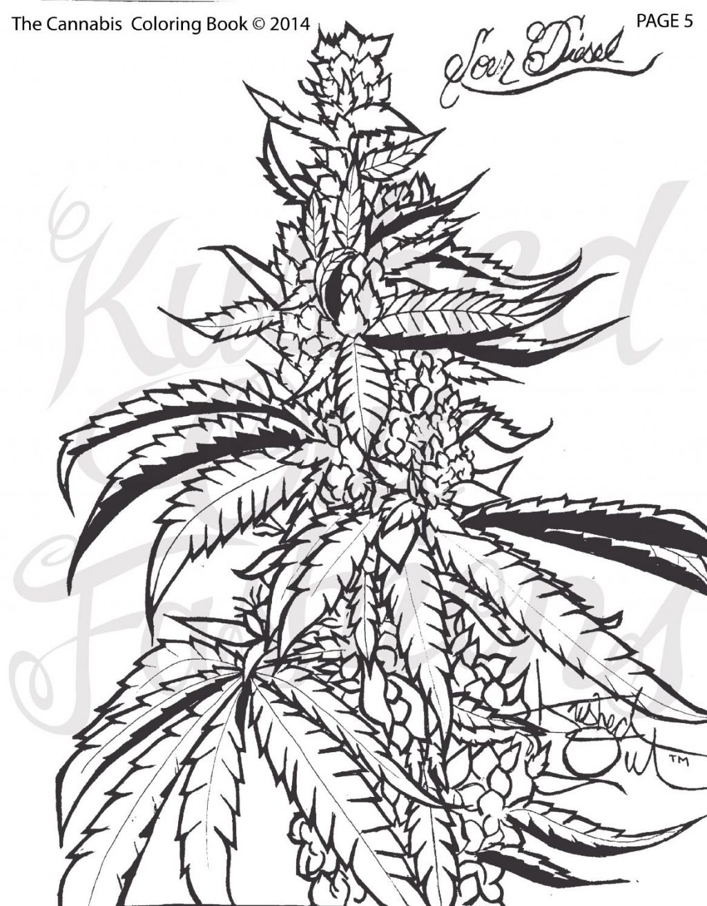 Weed Plant Coloring Pages at Free printable