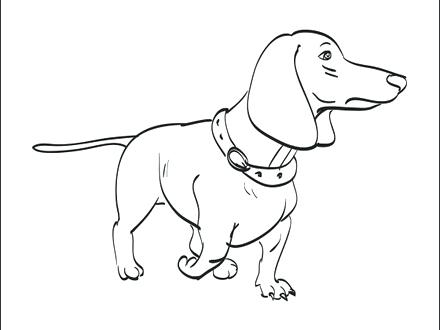 Weenie Dog Coloring Pages at GetColorings.com | Free printable
