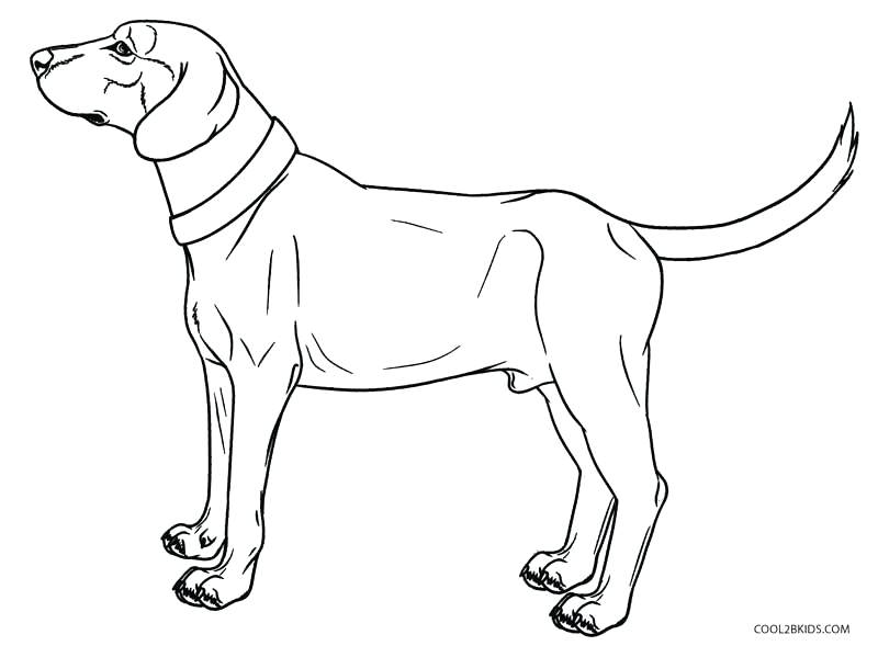 Weiner Dog Coloring Page at GetColorings.com | Free printable colorings