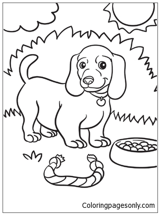 Weiner Dog Coloring Page at GetColorings.com | Free printable colorings