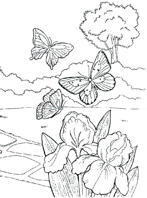 Welcome To Kindergarten Coloring Page at GetColorings.com | Free