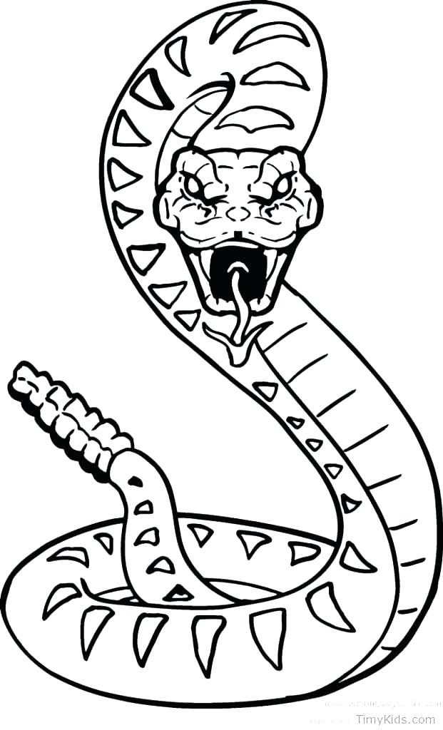 Western Diamondback Rattlesnake Coloring Pages at GetColorings.com