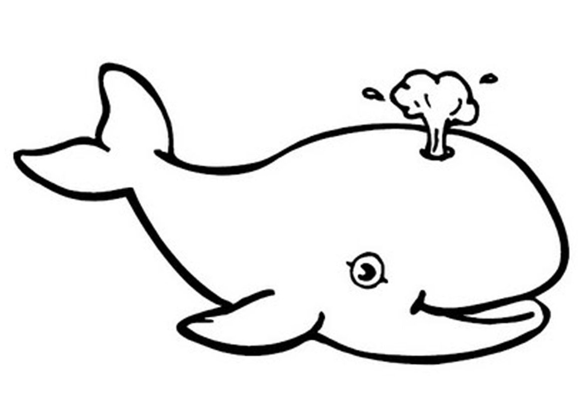 New Cute Whale Coloring Pages for Kindergarten