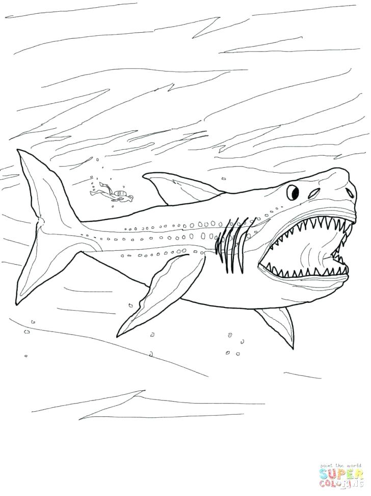 Whale Shark Coloring Page At Getcolorings.com 