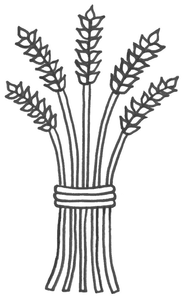 Wheat Coloring Page at GetColorings.com | Free printable colorings