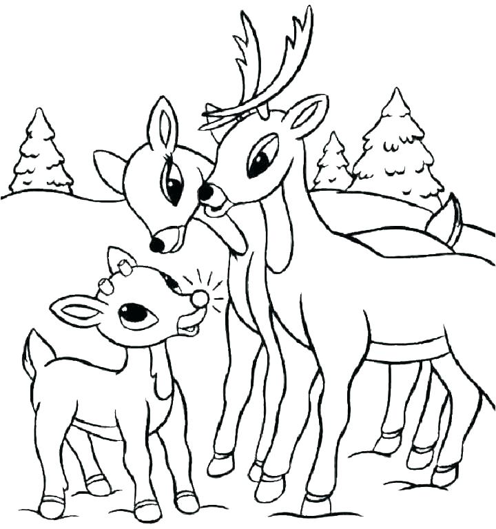 White Tailed Deer Coloring Page at GetColorings.com | Free ...