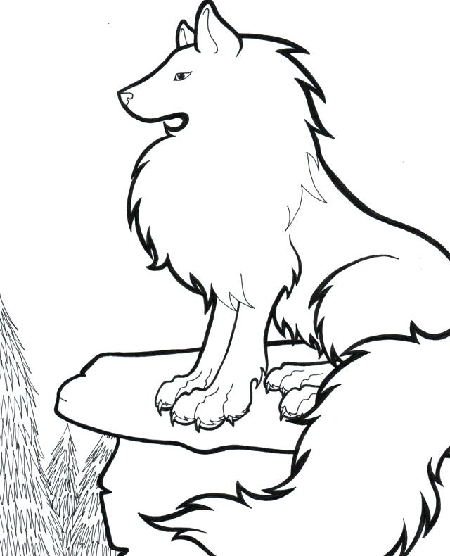 White Wolf Coloring Pages at GetColorings.com | Free printable