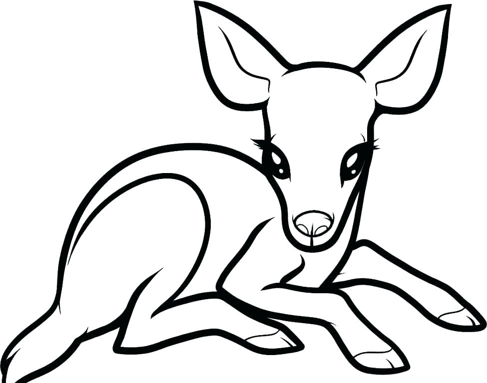 Whitetail Buck Coloring Pages At GetColorings Free Printable 