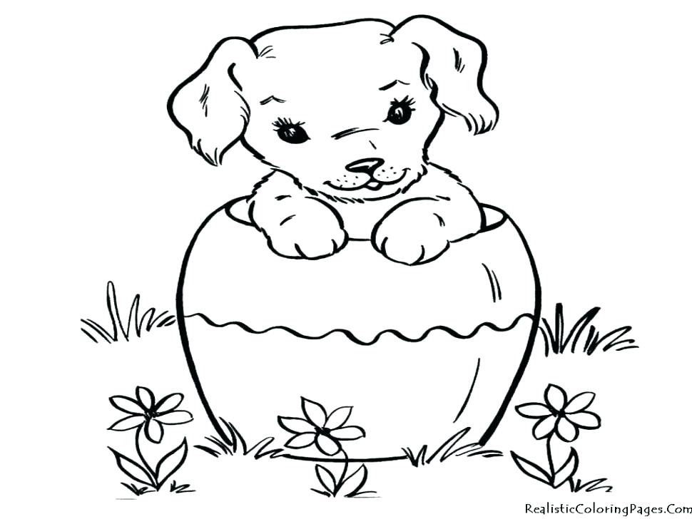 Wiener Dog Coloring Pages at GetColorings.com | Free printable