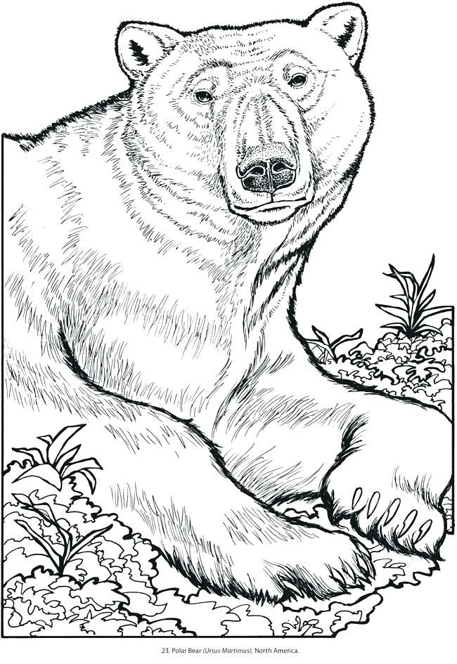 Wild Animals Coloring Pages Printable at GetColorings.com ...