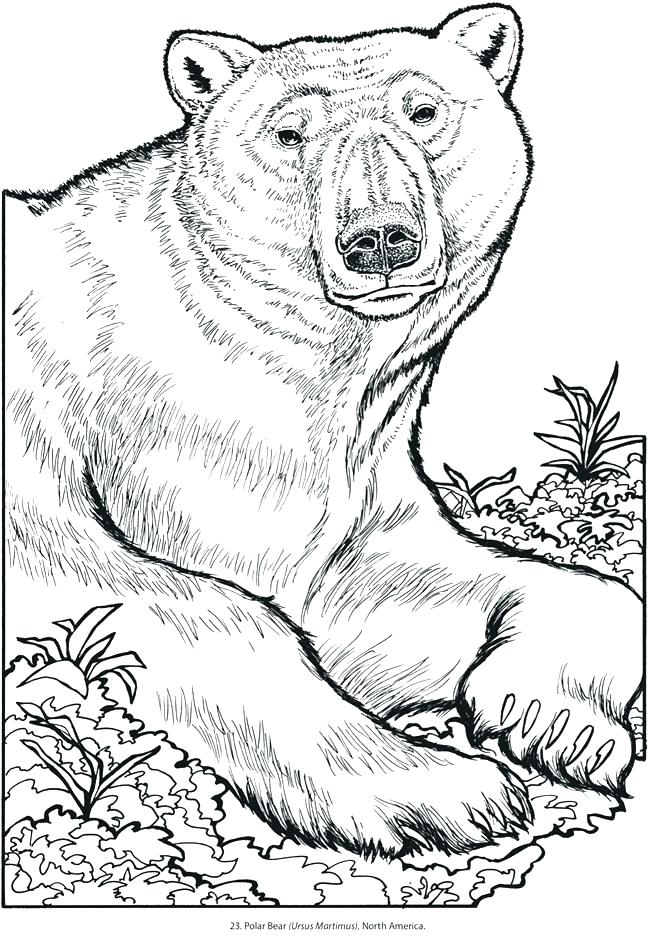 Wild Animals Coloring Pages Printable At GetColorings Free 