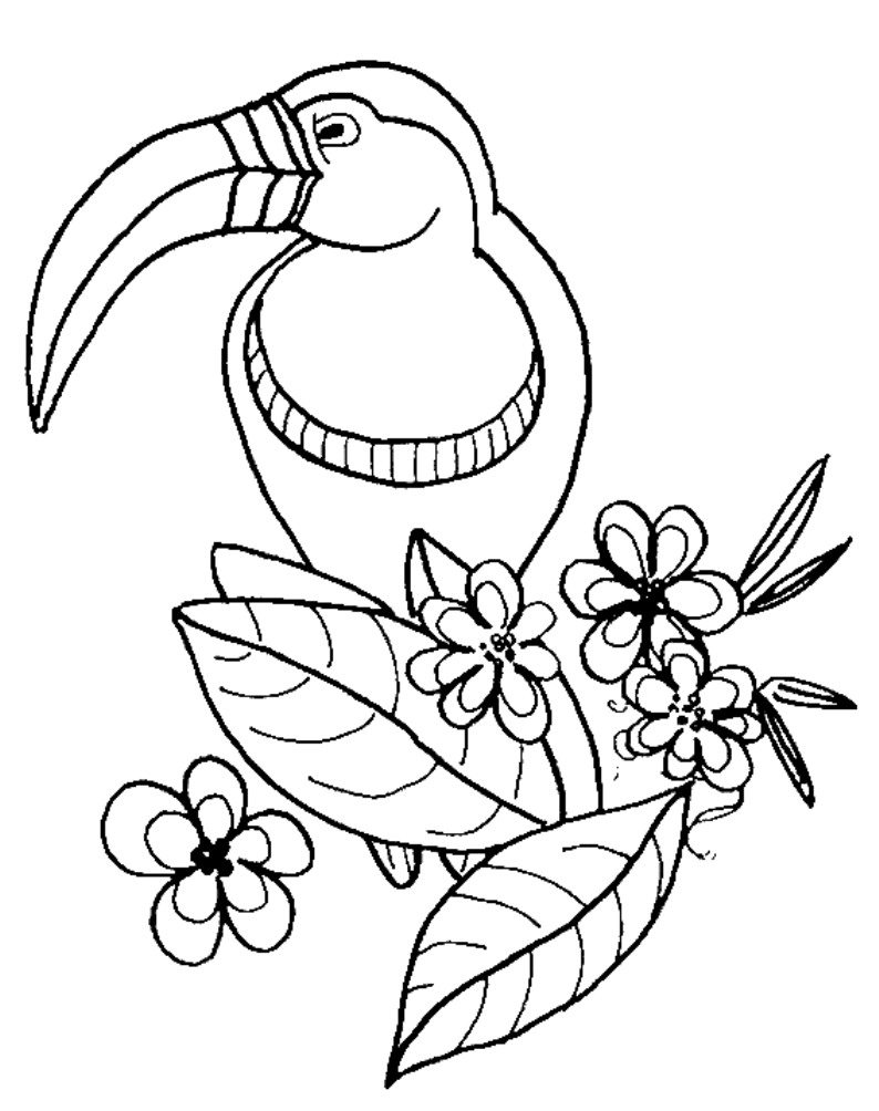 Wild Bird Coloring Pages at GetColorings.com | Free ...