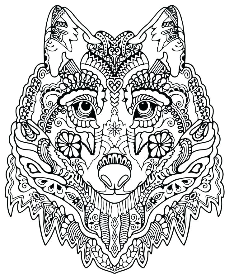 Wild Cat Coloring Pages at GetColorings.com | Free printable colorings