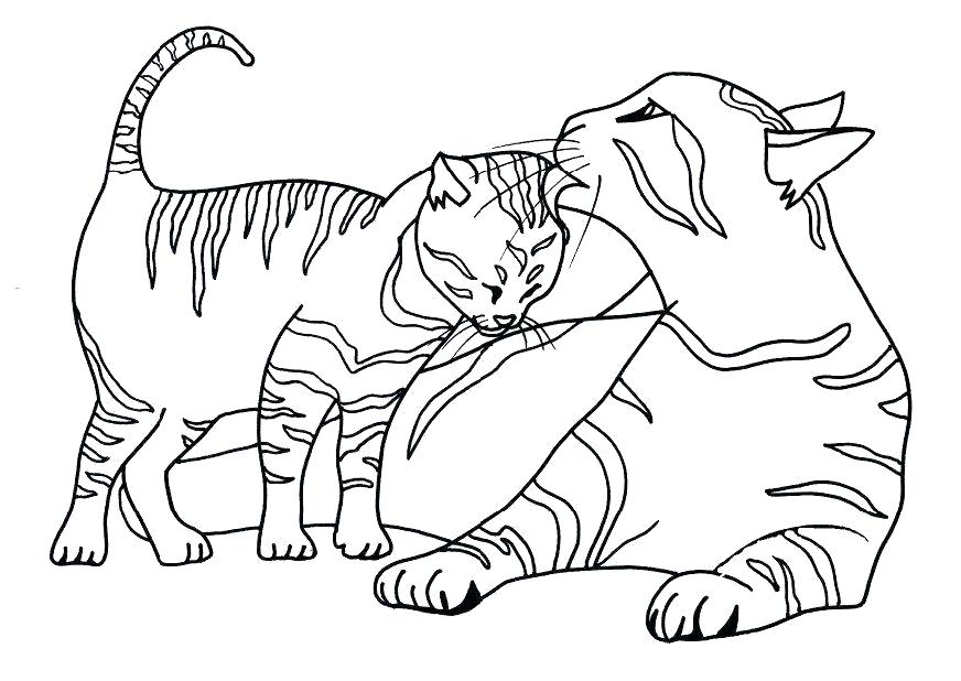 Wild Cat Coloring Pages at GetColorings.com | Free printable colorings