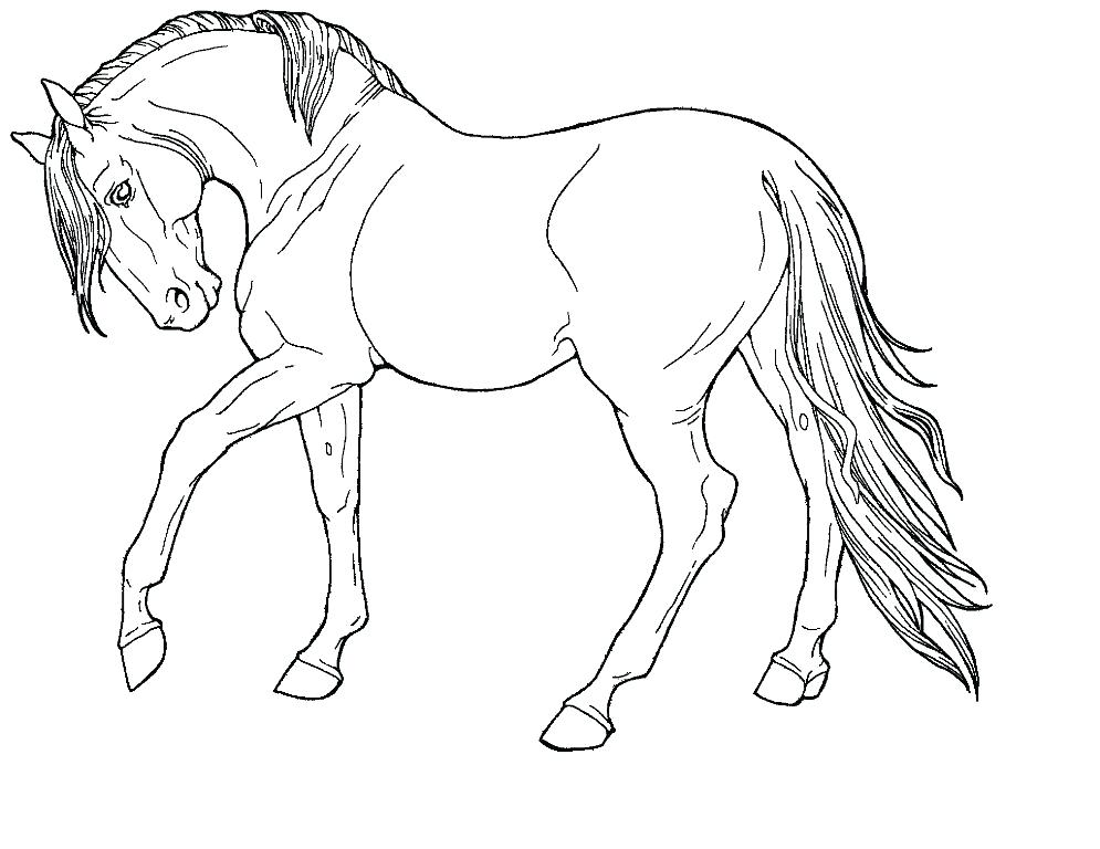 Wild Horse Coloring Pages At GetColorings Free Printable 