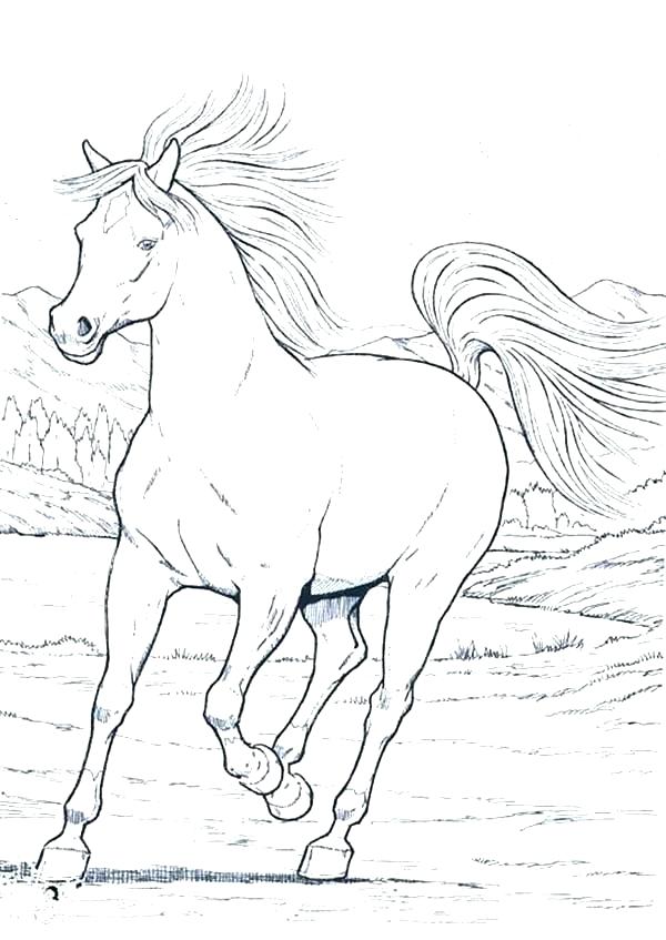 wild-horse-coloring-pages-at-getcolorings-free-printable