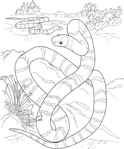 Wilderness Coloring Pages at GetColorings.com | Free printable