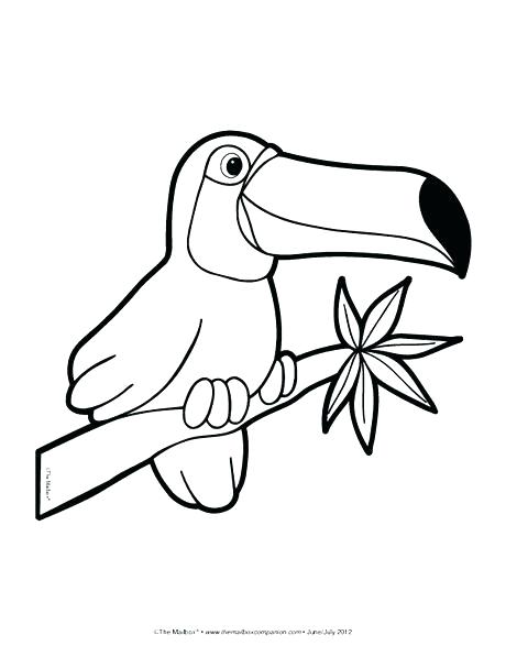 460x597 Rainforest Animal Coloring Pages Elegant Animals