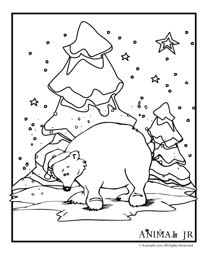 Winter Animals Coloring Pages At GetColorings Free Printable 