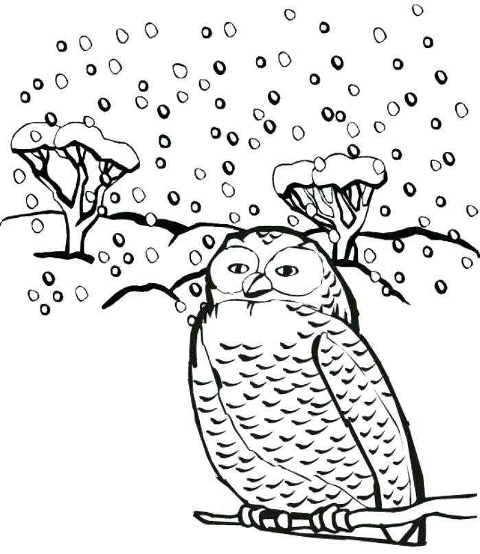 Winter Animals Coloring Pages at GetColorings.com | Free printable