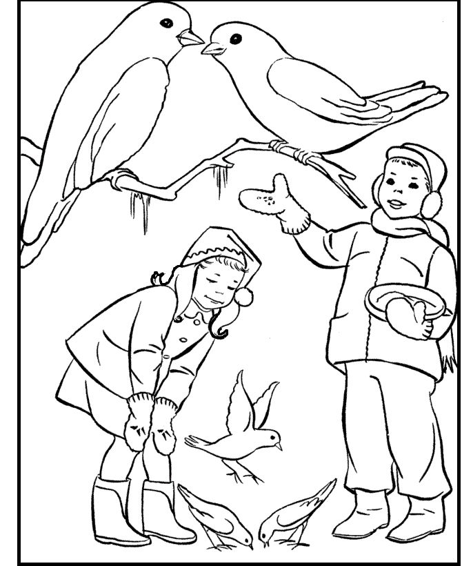 winter-birds-coloring-pages-at-getcolorings-free-printable-colorings-pages-to-print-and-color