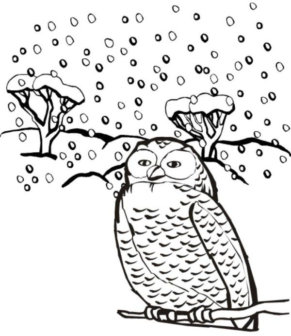 Winter Birds Coloring Pages at Free printable