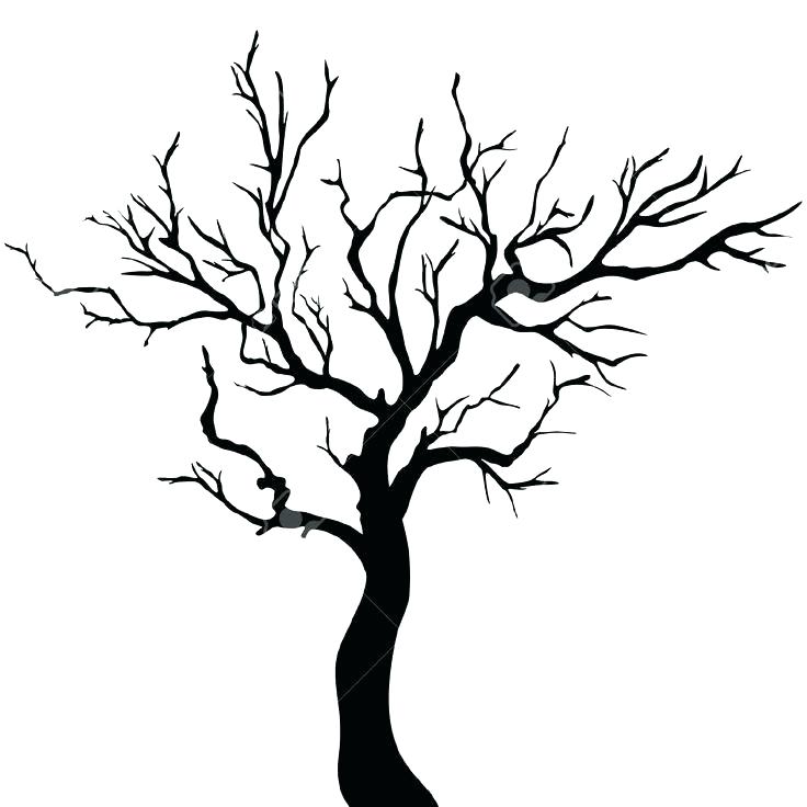 Winter Tree Coloring Page At GetColorings Free Printable 