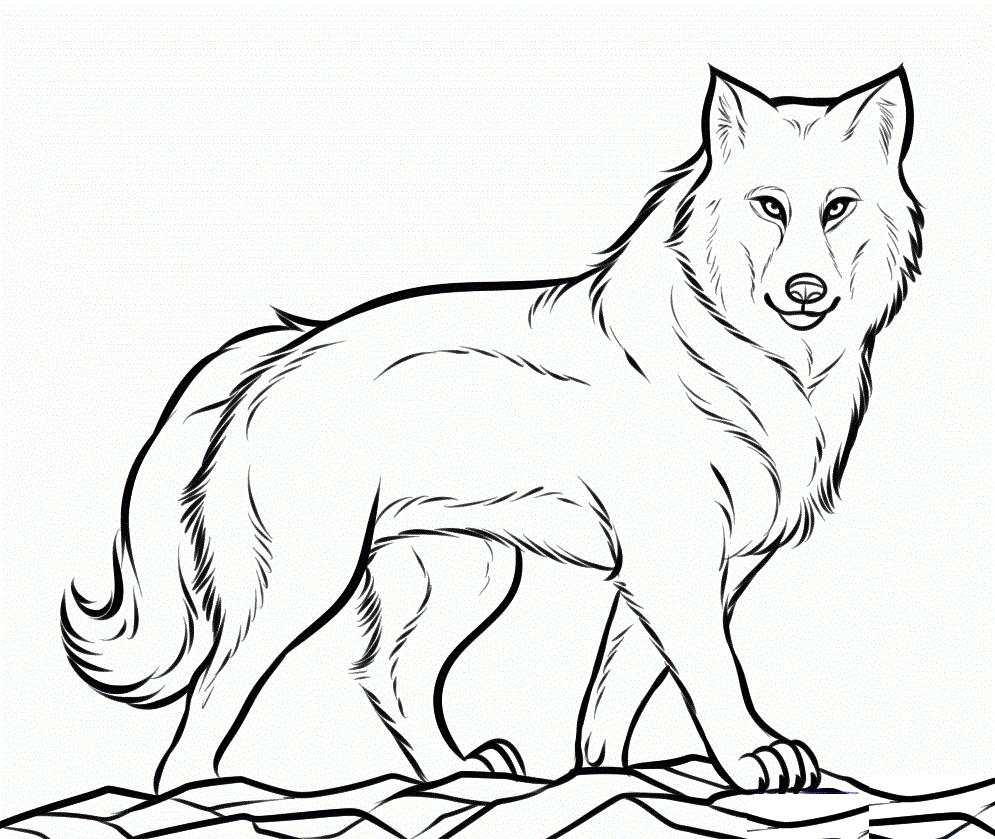 Wolf Coloring Pages Printable At Getcolorings.com | Free Printable