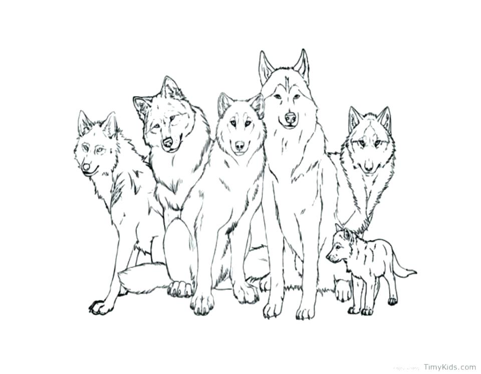 Wolf Cub Coloring Pages at GetColorings.com | Free printable colorings