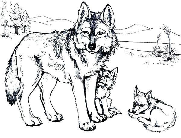 Wolf Howling Coloring Pages at GetColorings.com | Free ...