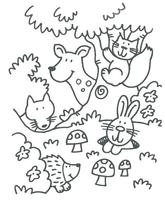 woodland-animal-coloring-pages-at-getcolorings-free-printable-colorings-pages-to-print-and