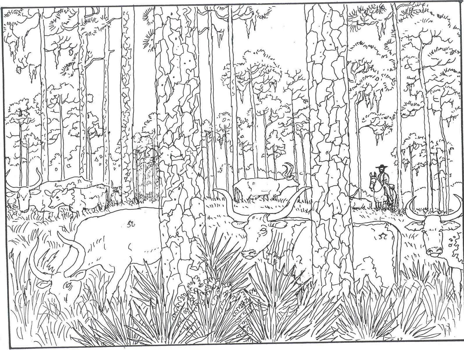 Woods Coloring Pages at Free printable colorings